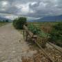 Chine - Lijiang Yunnan