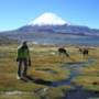 France - Parinacota 6500m