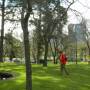 Australie - 