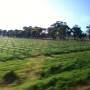 Australie - 