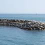 Australie - 