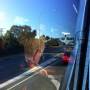 Australie - 