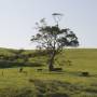 Australie - 