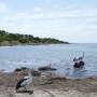 Australie - 