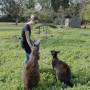 Australie - 
