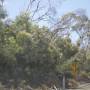 Australie - 