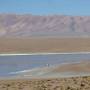 Bolivie - 