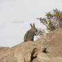 Bolivie - 