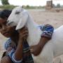 Inde - 