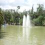 Argentine - Joli Parc au coeur de Salta