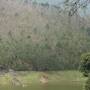 Inde - 