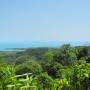 Australie - foret tropicale et mer bleue turquoise..