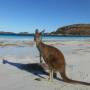 Australie - 