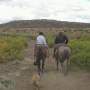 Argentine - 