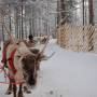Finlande - 