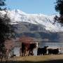 Nouvelle-Zélande - Wanaka