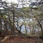 Argentine - Parc national "Tierra del Fuego" 8