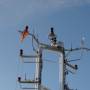 Allemagne - 