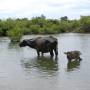 Laos - 