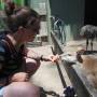Australie - 