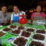 Thaïlande - des criquets, et sorte de carards griller