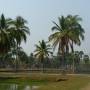 Thaïlande - Parc historique