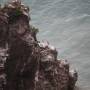 Nouvelle-Zélande - Nugget Point