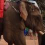 Laos - 
