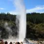 Nouvelle-Zélande - Wai O Tapu - Le Geyser Lady Knox