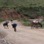 Bolivie - 
