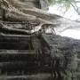 Cambodge - 