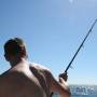 Australie - 