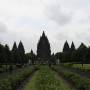 Indonésie - Prambanan - le plus gros temple hindou de l